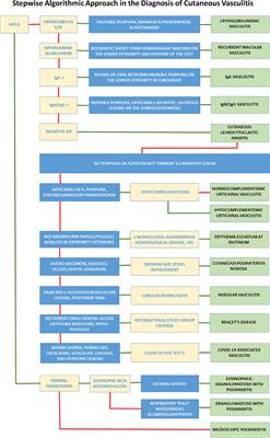 Cutaneous vasculitis; An algorithmic approach to diagnosis